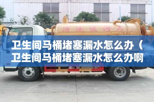 衛生間馬桶堵塞漏水怎么辦（衛生間馬桶堵塞漏水怎么辦啊）