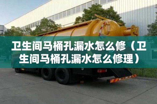 衛(wèi)生間馬桶孔漏水怎么修(衛(wèi)生間馬桶孔漏水怎么修理) 衛(wèi)生間馬桶孔漏水怎么修(衛(wèi)生間馬桶孔漏水怎么修理)