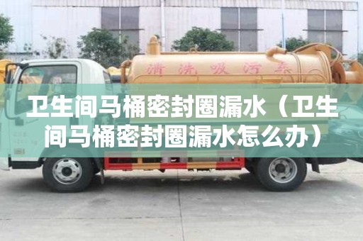 衛(wèi)生間馬桶密封圈漏水（衛(wèi)生間馬桶密封圈漏水怎么辦）