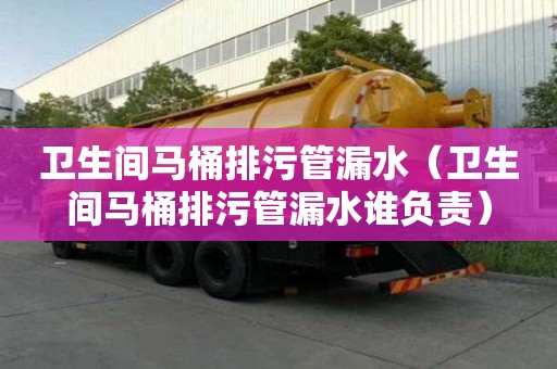 衛(wèi)生間馬桶排污管漏水（衛(wèi)生間馬桶排污管漏水誰負(fù)責(zé)）