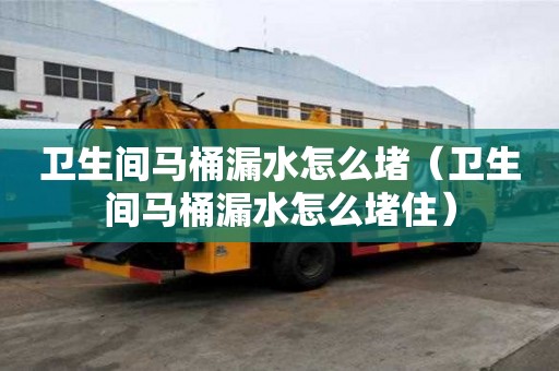 衛生間馬桶漏水怎么堵（衛生間馬桶漏水怎么堵住）