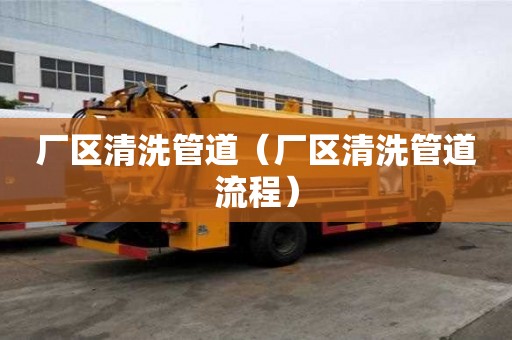 廠區(qū)清洗管道（廠區(qū)清洗管道流程）