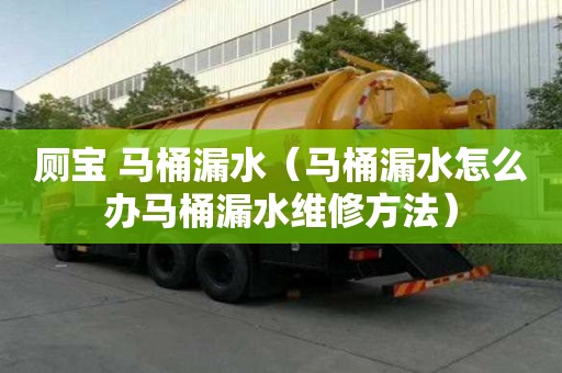 廁寶 馬桶漏水（馬桶漏水怎么辦馬桶漏水維修方法）