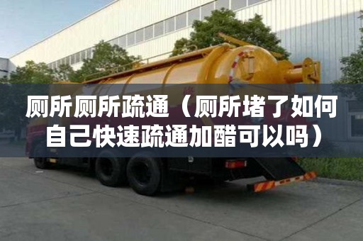 廁所廁所疏通（廁所堵了如何自己快速疏通加醋可以嗎）