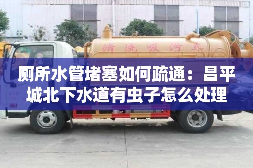 廁所水管堵塞如何疏通：昌平城北下水道有蟲子怎么處理