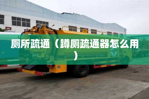 廁所疏通（蹲廁疏通器怎么用）