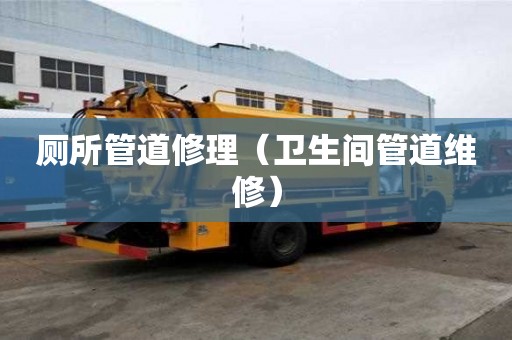 廁所管道修理(衛(wèi)生間管道維修) 廁所管道修理(衛(wèi)生間管道維修)