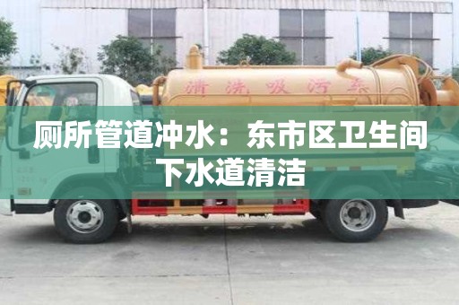 廁所管道沖水：東市區衛生間下水道清潔