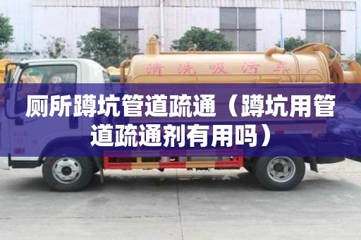 廁所蹲坑管道疏通（蹲坑用管道疏通劑有用嗎）