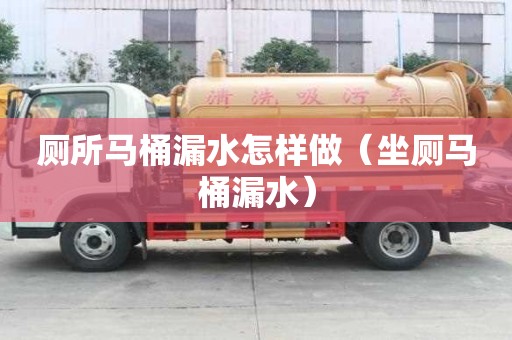 廁所馬桶漏水怎樣做（坐廁馬桶漏水）