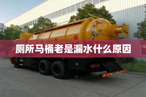 廁所馬桶老是漏水什么原因 廁所馬桶老是漏水什么原因
