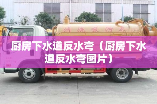 廚房下水道反水彎（廚房下水道反水彎圖片）