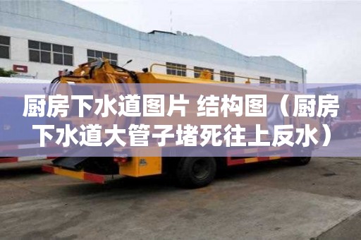 廚房下水道圖片 結構圖（廚房下水道大管子堵死往上反水）