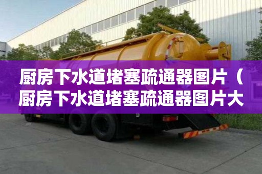 廚房下水道堵塞疏通器圖片（廚房下水道堵塞疏通器圖片大全）