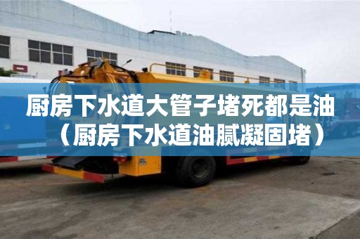 廚房下水道大管子堵死都是油（廚房下水道油膩凝固堵）