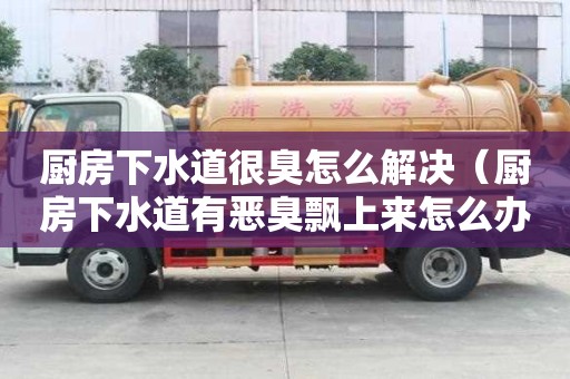 廚房下水道很臭怎么解決（廚房下水道有惡臭飄上來怎么辦）