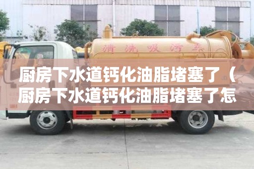 廚房下水道鈣化油脂堵塞了（廚房下水道鈣化油脂堵塞了怎么辦）