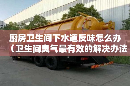 廚房衛生間下水道反味怎么辦（衛生間臭氣最有效的解決辦法）