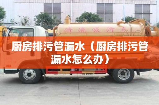廚房排污管漏水（廚房排污管漏水怎么辦）