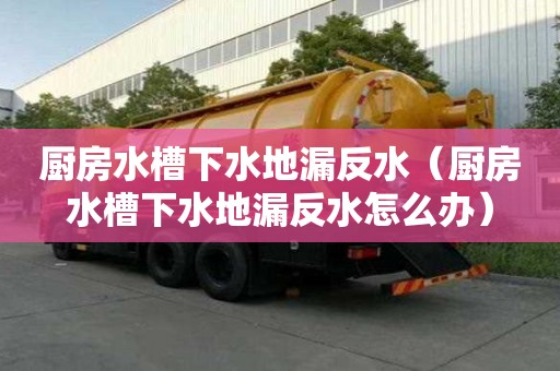 廚房水槽下水地漏反水（廚房水槽下水地漏反水怎么辦）