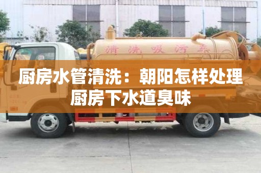 廚房水管清洗：朝陽怎樣處理廚房下水道臭味