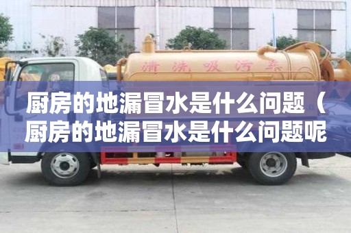 廚房的地漏冒水是什么問題（廚房的地漏冒水是什么問題呢）