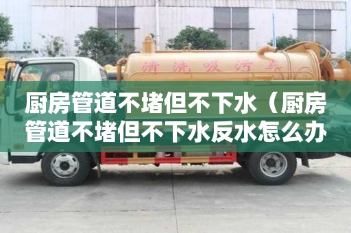 廚房管道不堵但不下水（廚房管道不堵但不下水反水怎么辦）