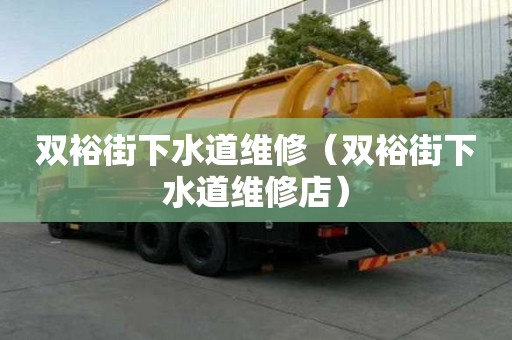 雙裕街下水道維修（雙裕街下水道維修店）