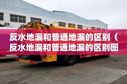 反水地漏和普通地漏的區別（反水地漏和普通地漏的區別圖片）