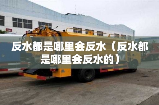 反水都是哪里會反水（反水都是哪里會反水的）
