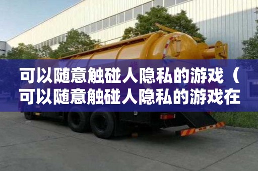 可以隨意觸碰人隱私的游戲（可以隨意觸碰人隱私的游戲在線全集觀看）