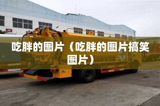 吃胖的圖片（吃胖的圖片搞笑圖片）