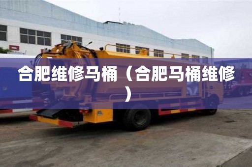 合肥維修馬桶（合肥馬桶維修）