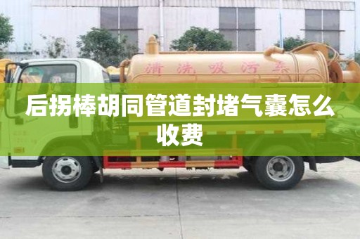 后拐棒胡同管道封堵氣囊怎么收費(fèi)