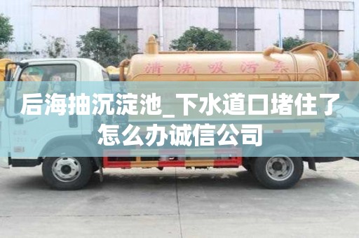 后海抽沉淀池_下水道口堵住了怎么辦誠信公司