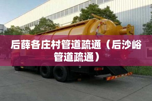 后薛各莊村管道疏通（后沙峪管道疏通）