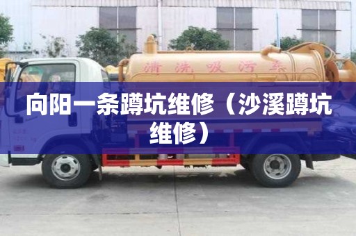 向陽一條蹲坑維修（沙溪蹲坑維修）