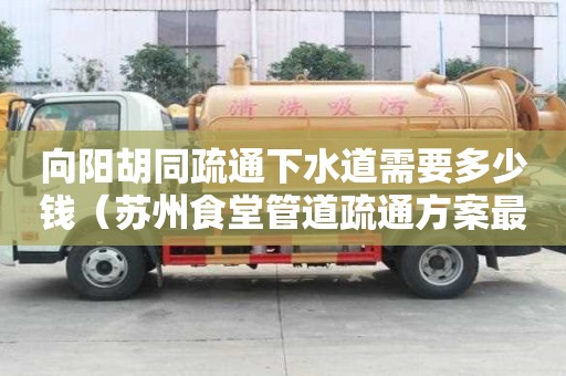 向陽胡同疏通下水道需要多少錢（蘇州食堂管道疏通方案最新）