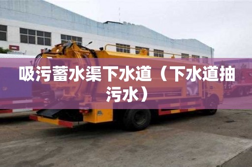 吸污蓄水渠下水道(下水道抽污水) 吸污蓄水渠下水道(下水道抽污水)