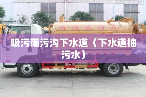 吸污雨污溝下水道(下水道抽污水) 吸污雨污溝下水道(下水道抽污水)