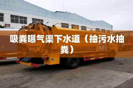 吸糞曝氣渠下水道（抽污水抽糞）
