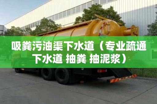 吸糞污油渠下水道（專業(yè)疏通下水道 抽糞 抽泥漿）