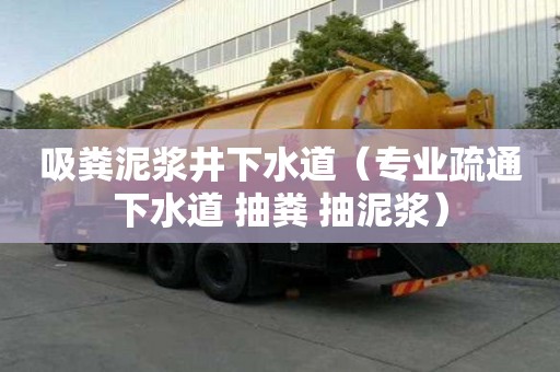 吸糞泥漿井下水道（專業疏通下水道 抽糞 抽泥漿）