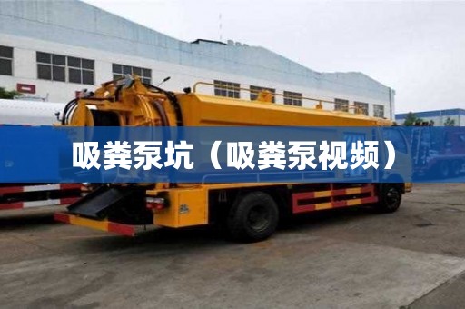 吸糞泵坑（吸糞泵視頻）