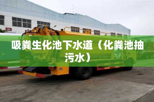 吸糞生化池下水道（化糞池抽污水）