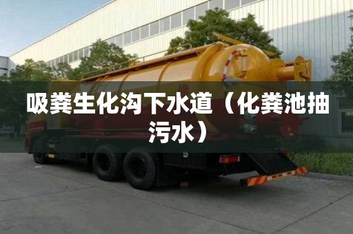 吸糞生化溝下水道(化糞池抽污水) 吸糞生化溝下水道(化糞池抽污水)