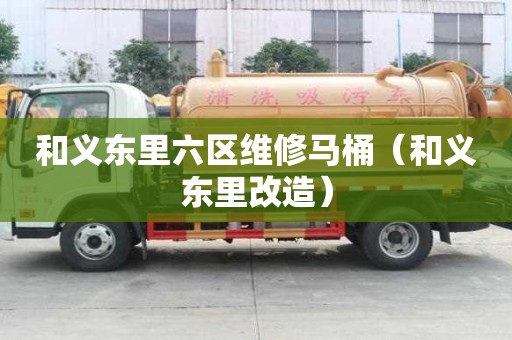 和義東里六區(qū)維修馬桶（和義東里改造）