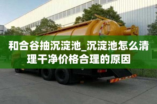 和合谷抽沉淀池_沉淀池怎么清理干凈價格合理的原因
