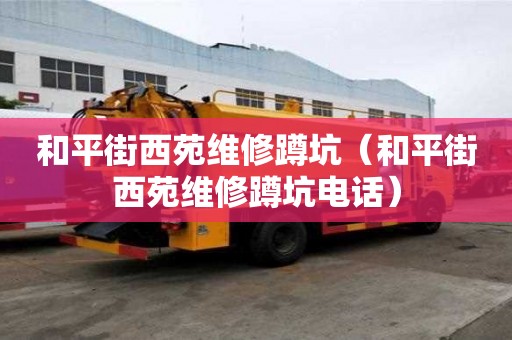 和平街西苑維修蹲坑（和平街西苑維修蹲坑電話）