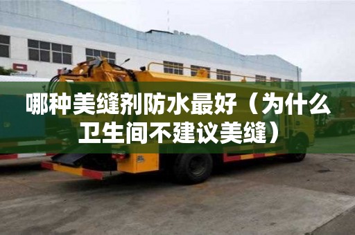 哪種美縫劑防水最好（為什么衛生間不建議美縫）